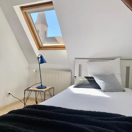 Au Petit Herz'og Holiday home Wettolsheim